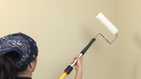 use extendable paint roller